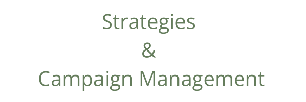 Strategies and Campaign Management